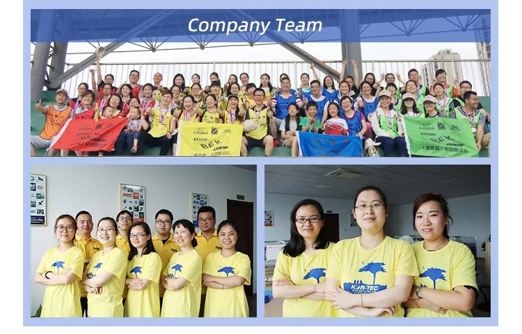 365211 0001416062 Starter Motor for Daf F85 F95