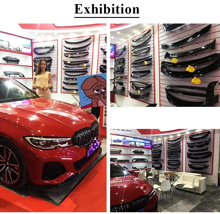 Car Parts for BMW F30 Psm Type Rear Spoiler