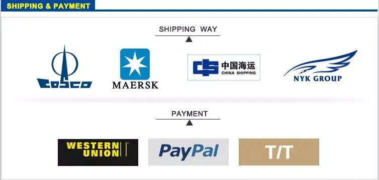 Clwiper Hot Selling Cl700 Universal 14-26 Inch Windshield Wiper Blade (CL700)