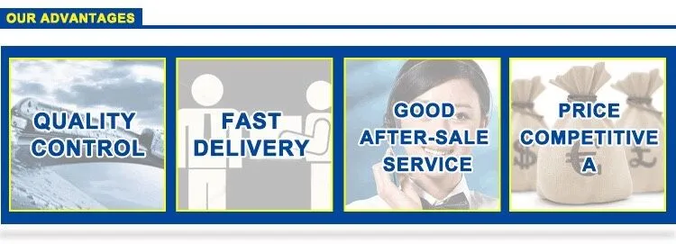 Clwiper New Design Auto Part Metal Frame Wiper with 1.2mm Thickness (CL700)