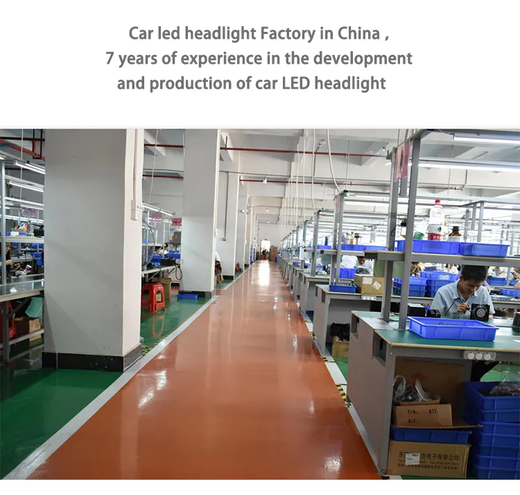 Conpex D1s Auto Lighting System Car LED Headlamps with Decoder 35W 45W 55W 85W 100% Canbus Car LED Headlights