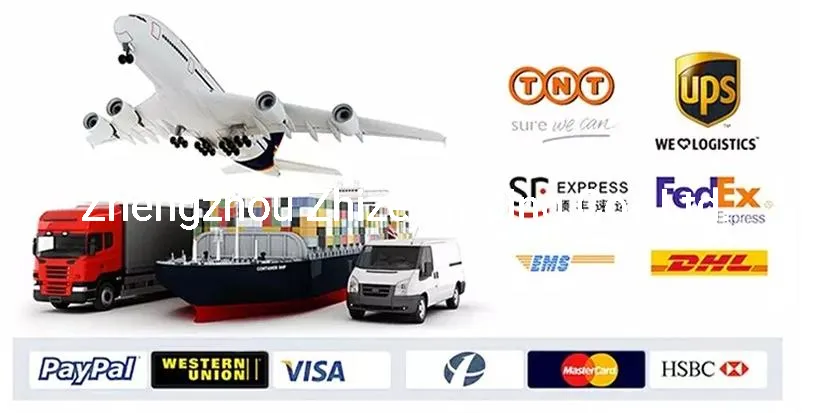 Dg2009-6 Combined Head Lamp for Ankai Kz-4 Bus of Donggang Lights