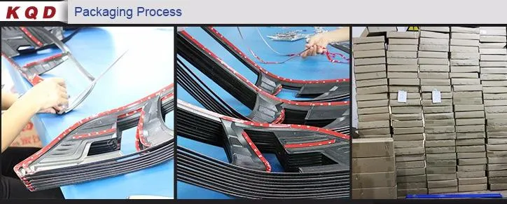 Door Sill Scuff Plate for Isuzu D-Max 2020