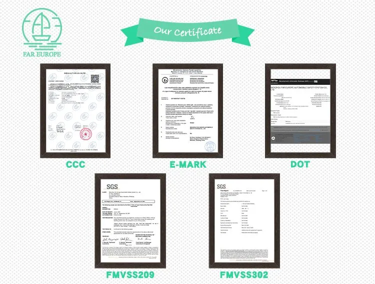 Fec027e Alr Two-Point 2 Point Safety Seatbelt
