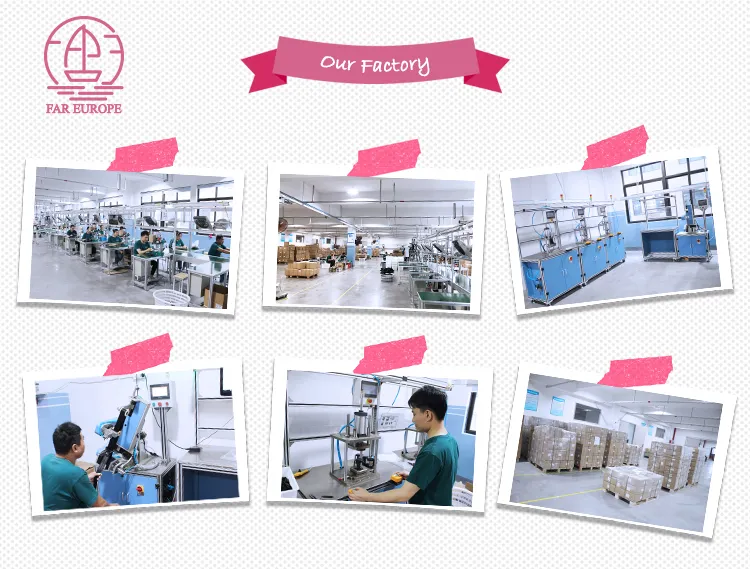 Fec027e Alr Two-Point 2 Point Safety Seatbelt