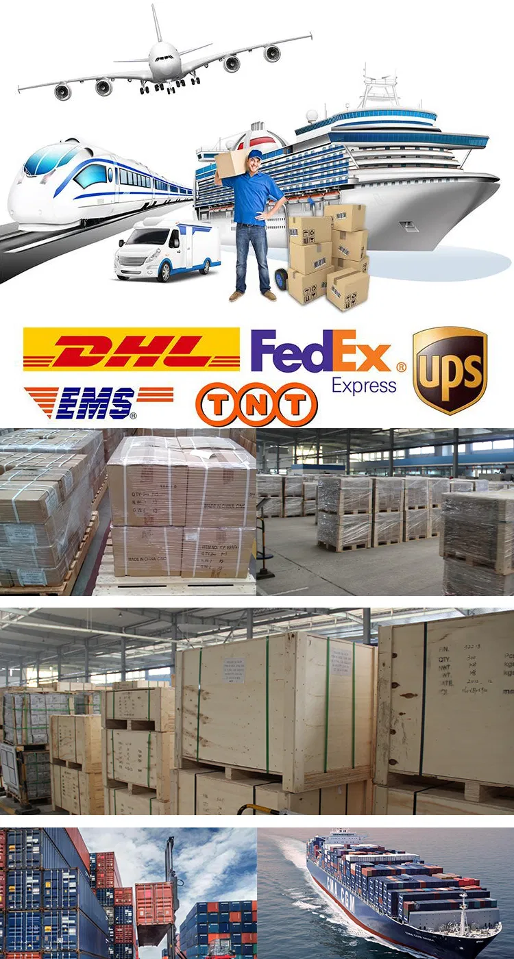 H7 H1 H4 H11 9005 9006 Hb3 Hb4 Car LED Fog Light 16000lm 12V High Power H4 LED Auto Headlight Bulb