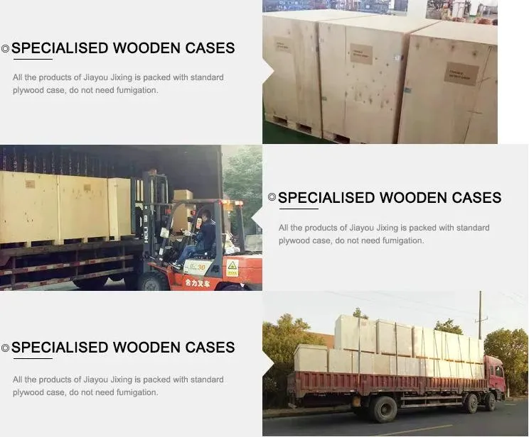 Jyjx-056 Luxury V260 Rear Seat with VIP Design